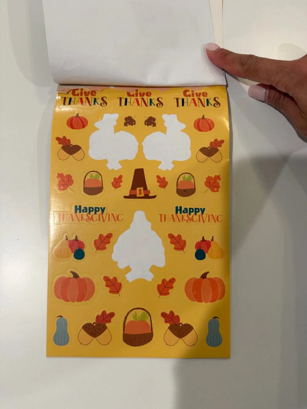 Large bundle Fall Thanksgiving Stickers & sensory manipulatives